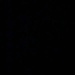 Meet your Posher, Brad